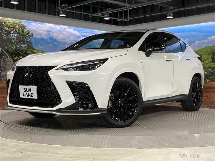 2024 Lexus NX