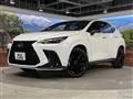2024 Lexus NX