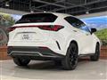 2024 Lexus NX