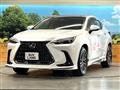 2024 Lexus NX