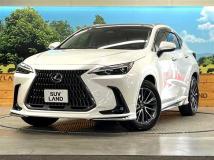 2024 Lexus NX