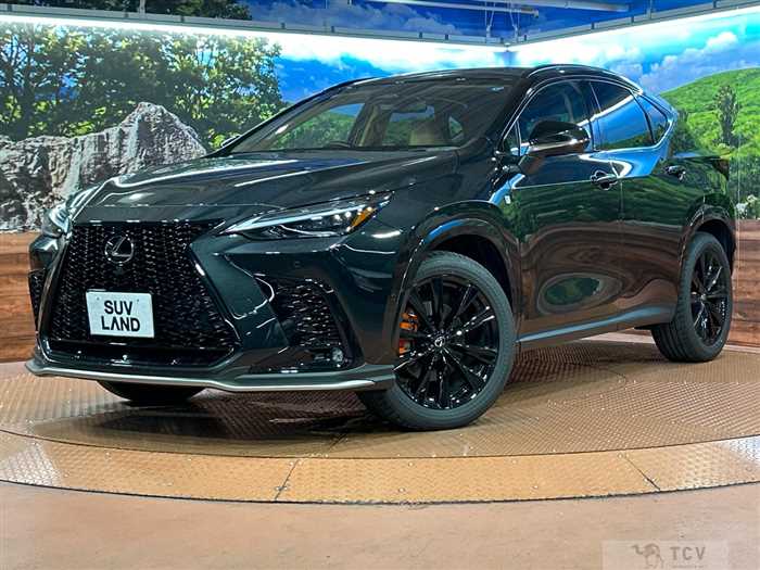 2025 Lexus NX
