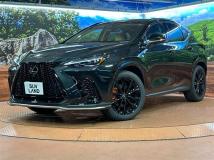 2025 Lexus NX