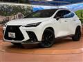 2025 Lexus NX
