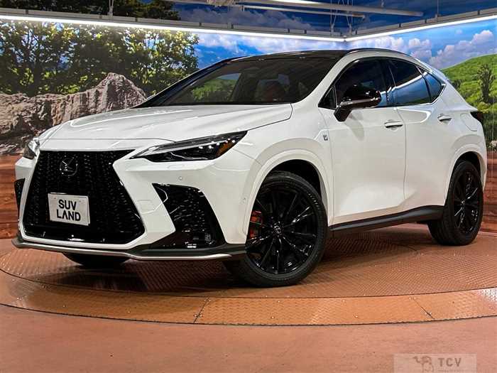 2025 Lexus NX