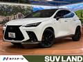 2025 Lexus NX