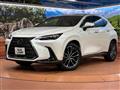 2025 Lexus NX