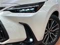 2025 Lexus NX