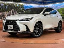 2025 Lexus NX