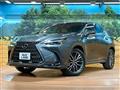 2025 Lexus NX
