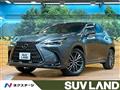 2025 Lexus NX