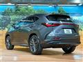2025 Lexus NX