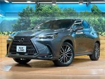 2025 Lexus NX
