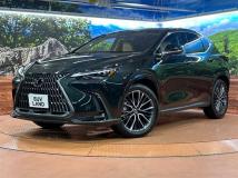 2025 Lexus NX