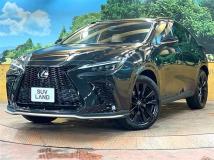 2025 Lexus NX