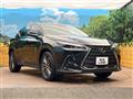 2021 Lexus NX