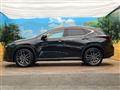 2021 Lexus NX