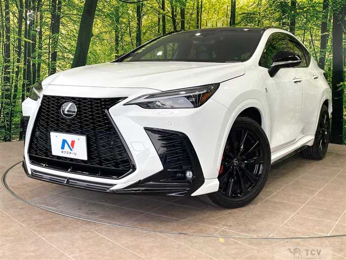 2022 Lexus NX