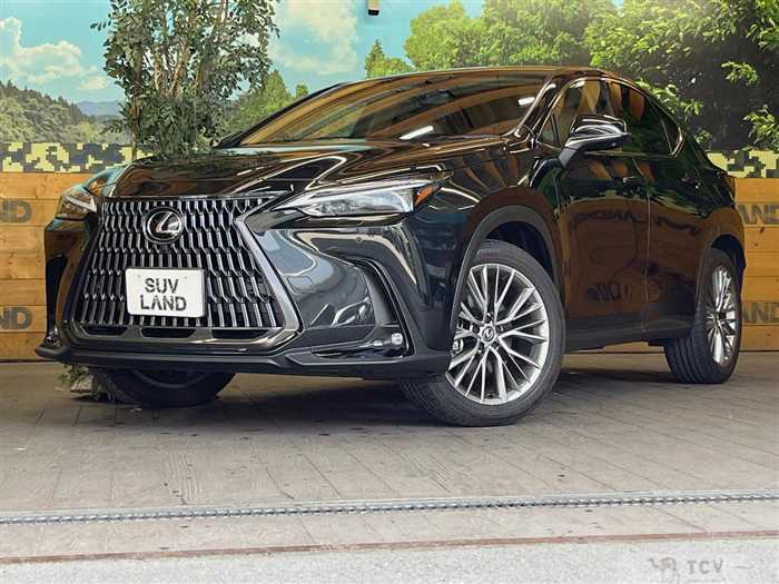 2023 Lexus NX