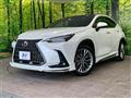 2023 Lexus NX