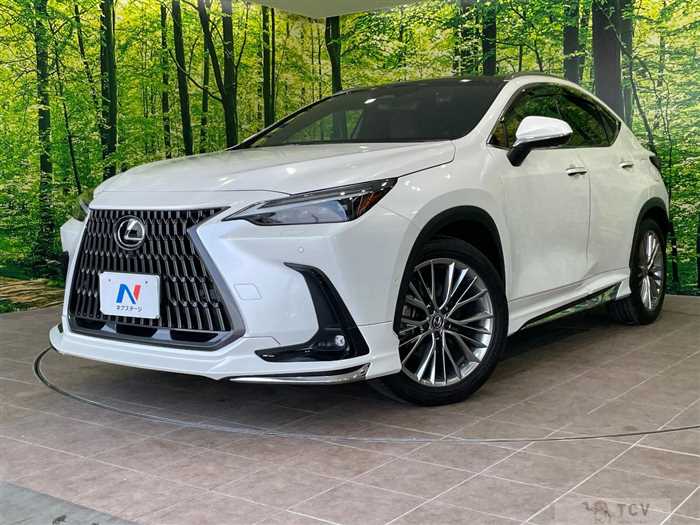2023 Lexus NX