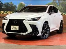 2023 Lexus NX