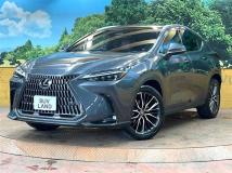 2023 Lexus NX