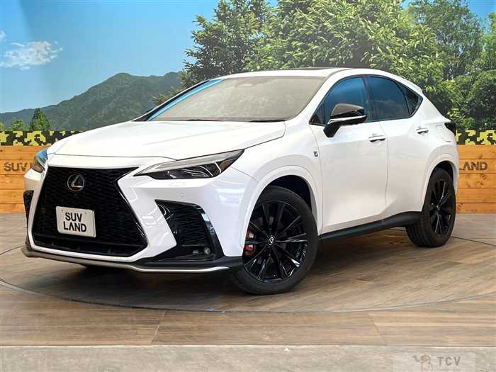 2024 Lexus NX