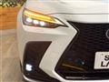 2024 Lexus NX