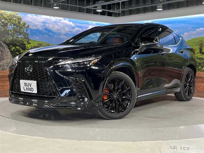 2024 Lexus NX