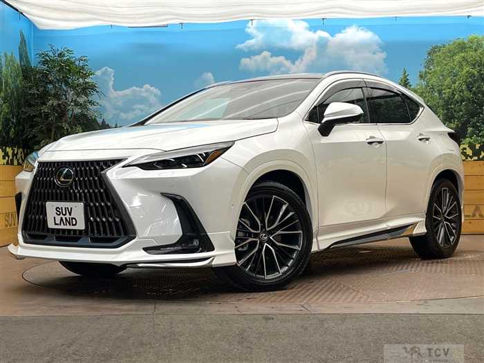 2025 Lexus NX