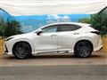 2025 Lexus NX