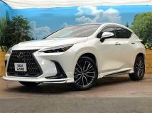 2025 Lexus NX