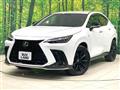2025 Lexus NX