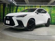 2025 Lexus NX