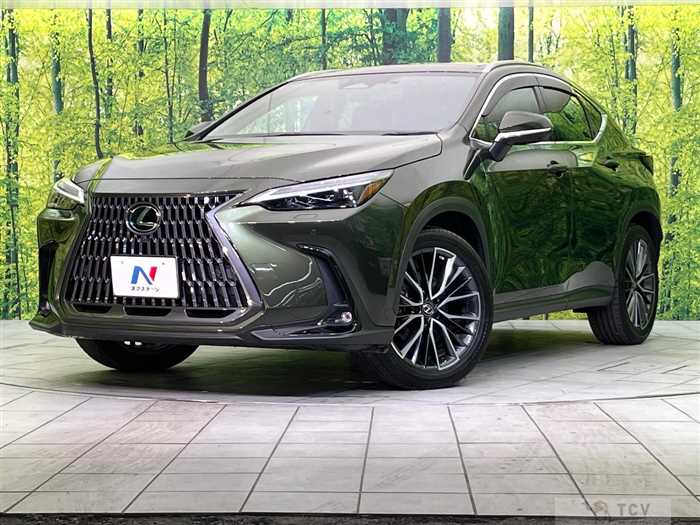 2023 Lexus NX