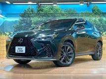 2023 Lexus NX