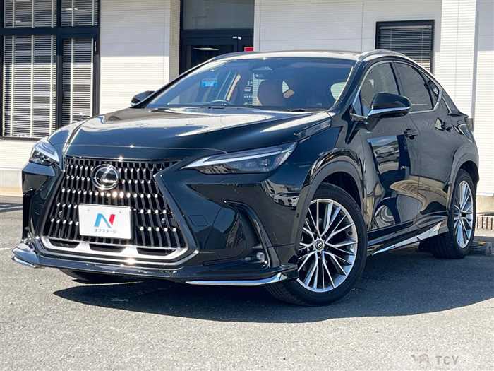 2023 Lexus NX