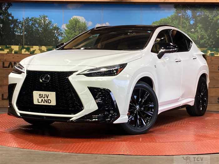 2024 Lexus NX