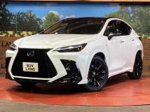 2024 Lexus NX