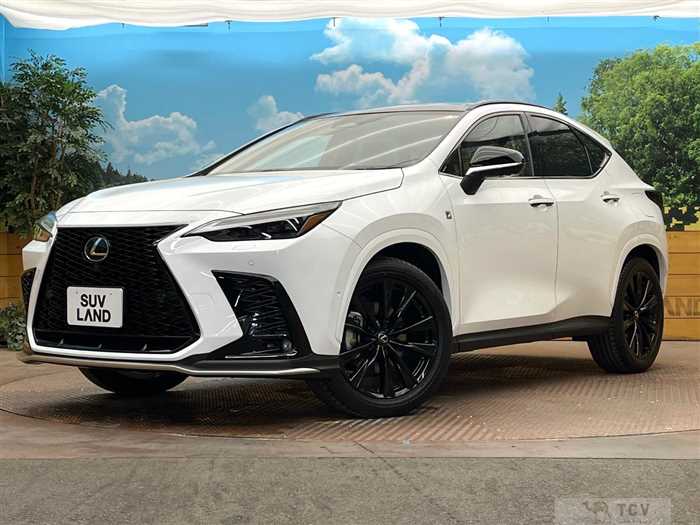 2024 Lexus NX