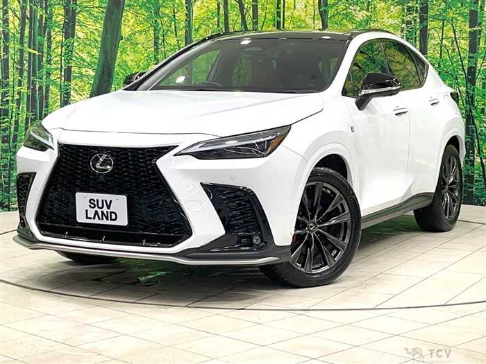 2022 Lexus NX