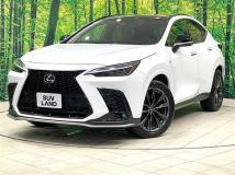 2022 Lexus NX