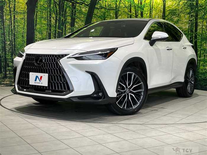 2023 Lexus NX