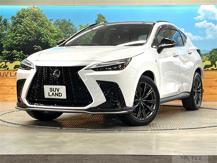2023 Lexus NX