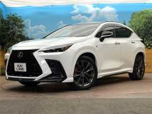 2025 Lexus NX