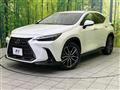 2021 Lexus NX