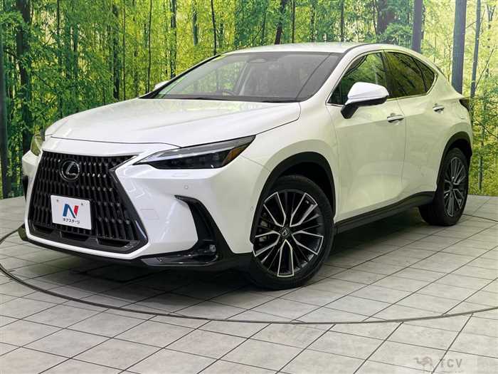 2021 Lexus NX