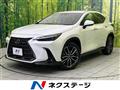 2021 Lexus NX