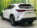 2021 Lexus NX